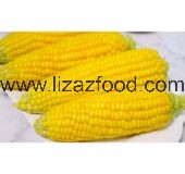 Boiled Sweet Corn
