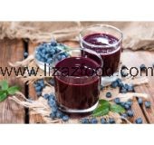 Frozen Blueberries Pulp