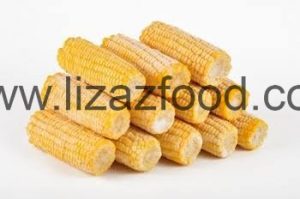 IQF Frozen Corn on Cob