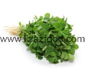 Fenugreek IQF