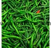 Green Chilli IQF