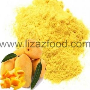 spray dried alphonso mango powder