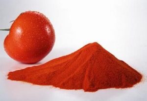 Fruit Powder spices