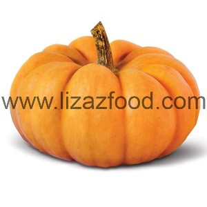 Pumpkinpulp Pulp