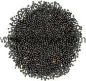Black Mustard Seeds