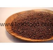 Mustard Seeds Brown