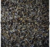 Caraway Seeds