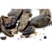 Black Cardamom Pod