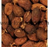 Cardamom Red