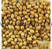Coriander Seed