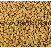 Fenugreek Seed