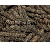 Long Peppercorn