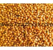 Yellow Mustard Seed
